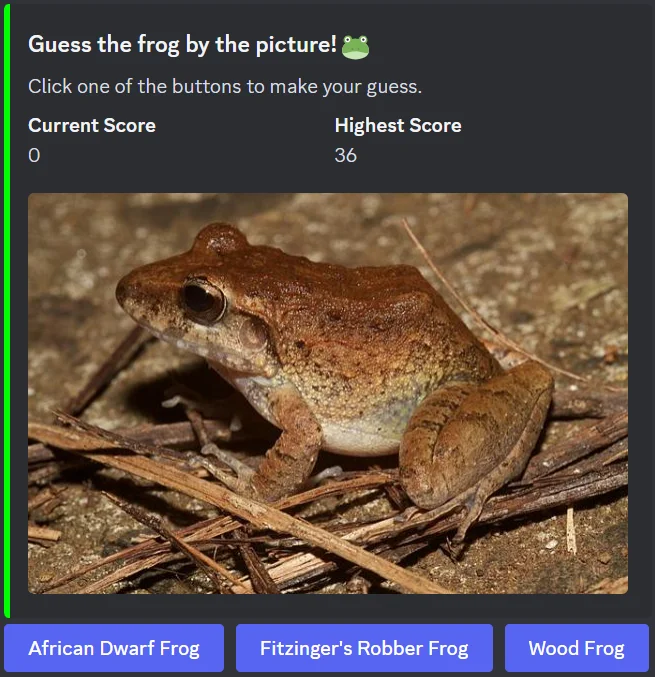 Frog Games